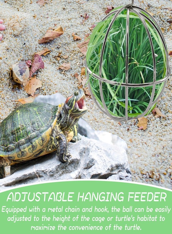 Niuohoy Tortoise Treat Ball and Mini Turtle Skateboard Set, Training Skateboard Toy & Tortoise Treat Ball Hanging Feeding Turtle Tank Accessories for Pet Turtle Tortoises Small Animals - Image 4